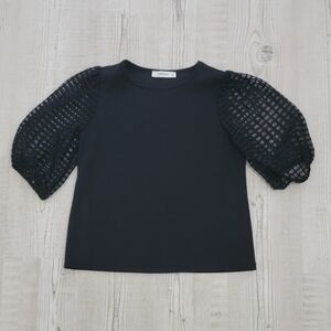 Elegant Black Blouse with Textured Sheer Puff Sleeves